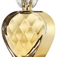 Elizabeth Arden Untold Absolu