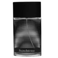 Ermenegildo Zegna Intenso