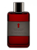 Antonio Banderas The Secret Temptation