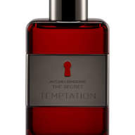 Antonio Banderas The Secret Temptation