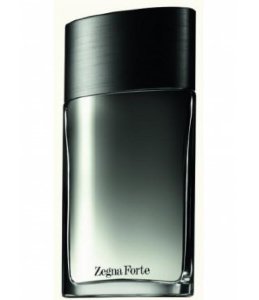 Ermenegildo Zegna Forte
