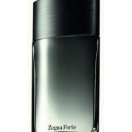 Ermenegildo Zegna Forte