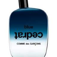 Comme des Garcons Blue Cedrat