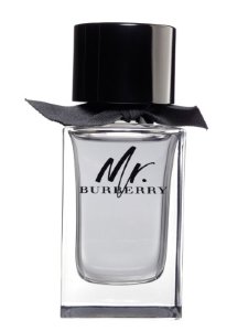 Burberry Mr. Burberry