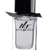 Burberry Mr. Burberry