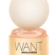 Dsquared2 Want
